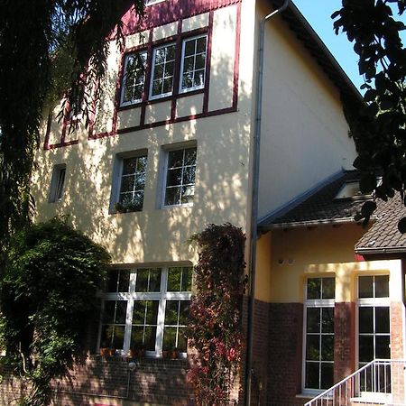 Kleines Apartment In Moenchengladbach-Neuwerk Eksteriør bilde