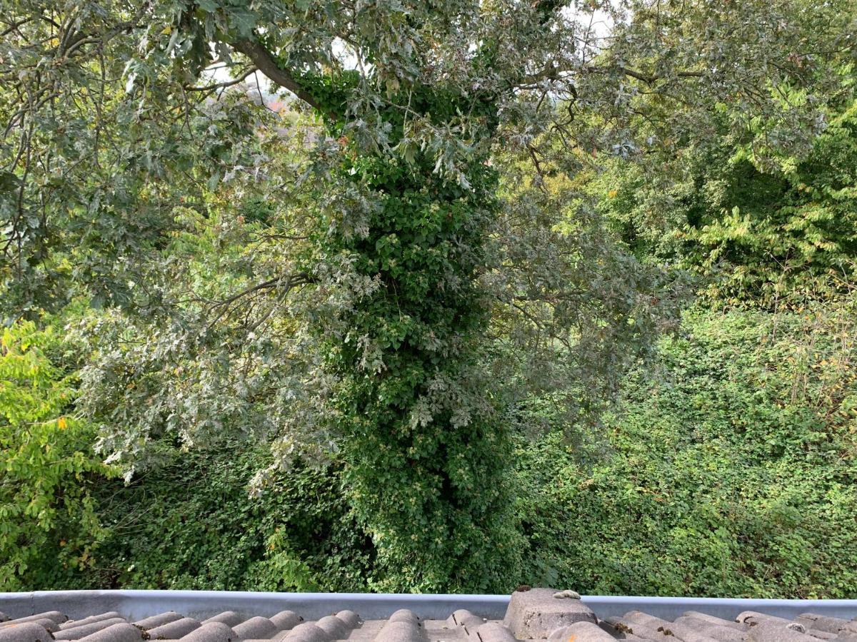 Kleines Apartment In Moenchengladbach-Neuwerk Eksteriør bilde